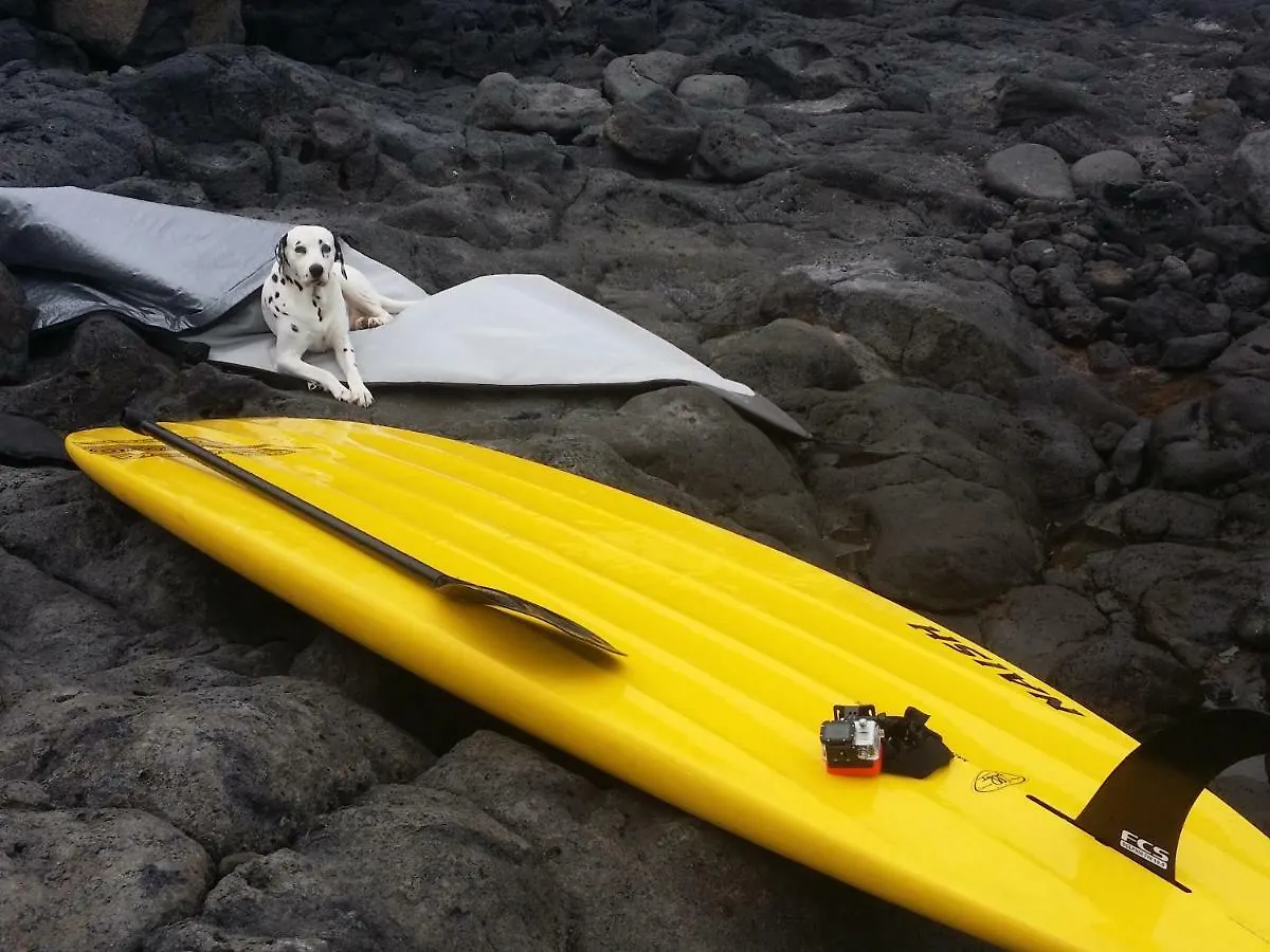 Studio 1 Hab Pajara  Pajara (Tenerife)